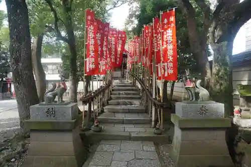 西新井大師総持寺の狛犬