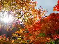 大雪山層雲峡神社(北海道)
