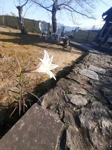 得生寺の{uncategorized: "未分類", other: "その他", undefined: "問題あり", building: "その他建物", grave: "お墓", sacred_gate: "鳥居", guardian: "狛犬", statue: "像", buddha: "仏像", history: "歴史", nature: "自然", garden: "庭園", animal: "動物", pagoda: "塔", temizu: "手水舎", mountain_gate: "山門・神門", sanctuary: "本殿・本堂", subordinate: "末社・摂社", art: "芸術", scenery: "景色", jizo: "地蔵", ema: "絵馬", goshuin: "御朱印", omikuji: "おみくじ", items: "授与品その他", amulet: "お守り", goshuincho: "御朱印帳", eats: "食事", festival: "お祭り", votive_dance: "神楽", shichigosan: "七五三参", wedding: "結婚式", experience: "体験その他", initially: "初詣", around: "周辺", anti_infection: "感染症対策"}