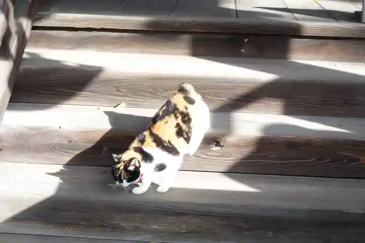 菊田神社(千葉県)