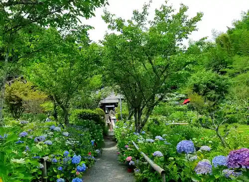 極楽寺の庭園