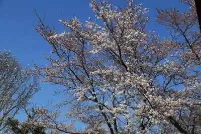 大鏑神社の周辺