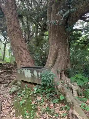大浦大神(千葉県)