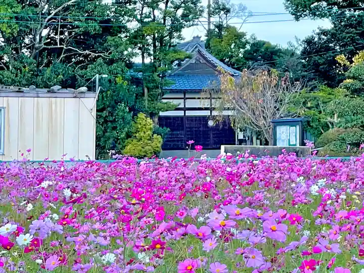 夜夫多神社の本殿・本堂
