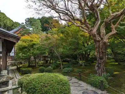 圓光寺(京都府)