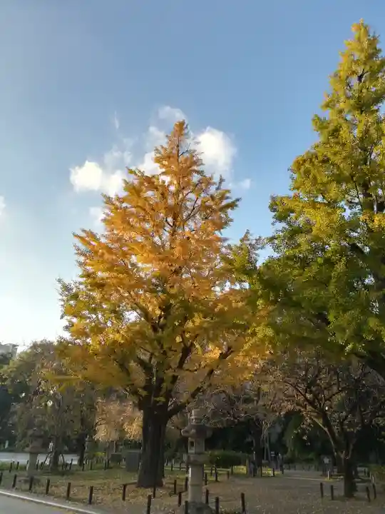 靖國神社の自然