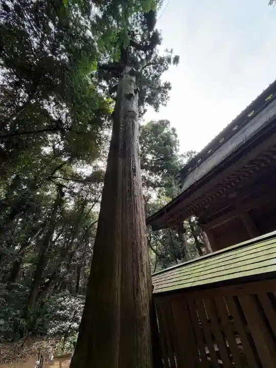 鹿島神宮(茨城県)