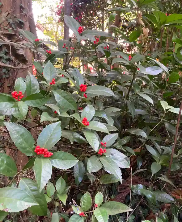新倉氷川八幡神社(埼玉県)