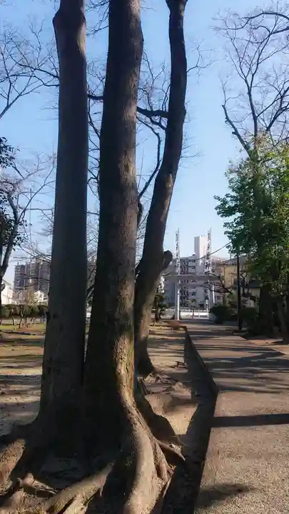 神明社(国府宮神明社)の自然