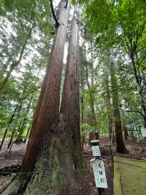 若狭彦神社（上社）(福井県)