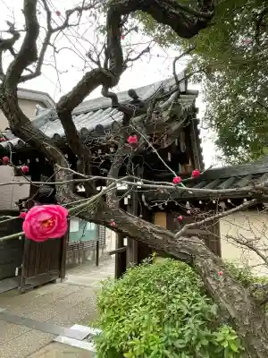 薬王寺(神奈川県)