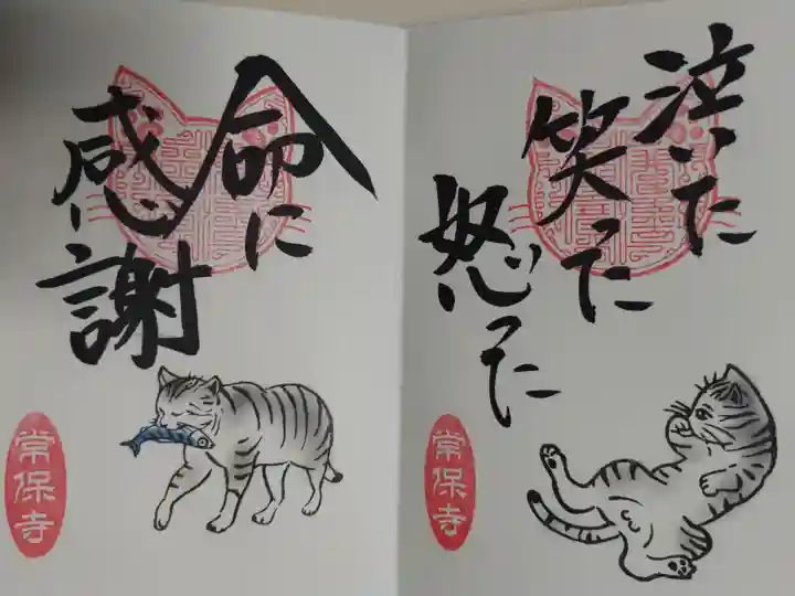 猫一言御朱印まとめプレオーダーがあり拝受。泣いた笑った怒った。命に感謝。