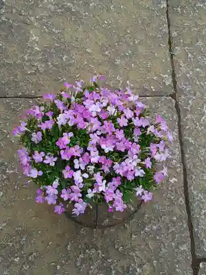 伏木香取神社(茨城県)