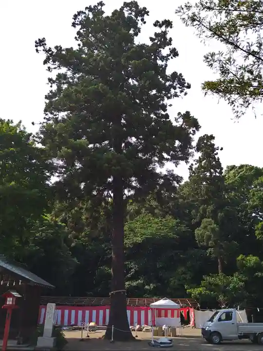 鷲宮神社のその他建物