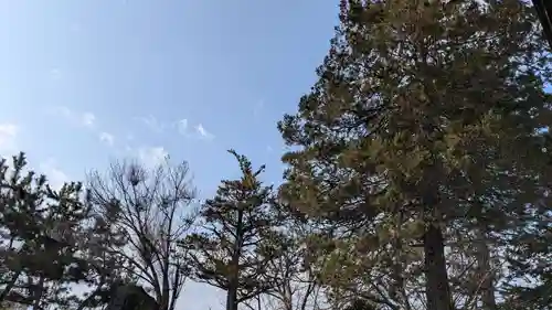 成田山大照寺の自然