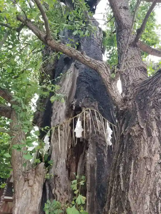 飛木稲荷神社のその他建物