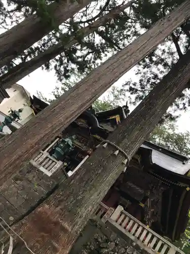 三峯神社(埼玉県)