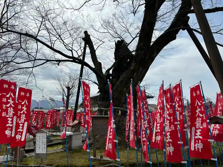 秩父今宮神社(埼玉県)