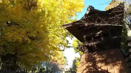 西蓮寺(茨城県)