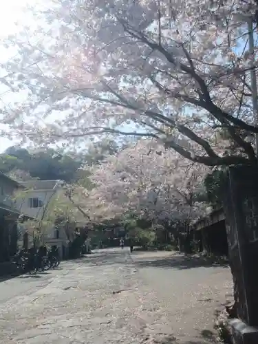 光則寺の景色