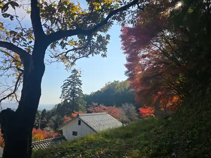 長安寺(京都府)