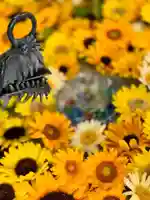 札幌諏訪神社の手水舎