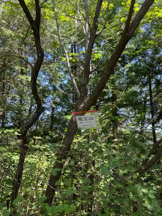 竜王山の小さな祠の自然