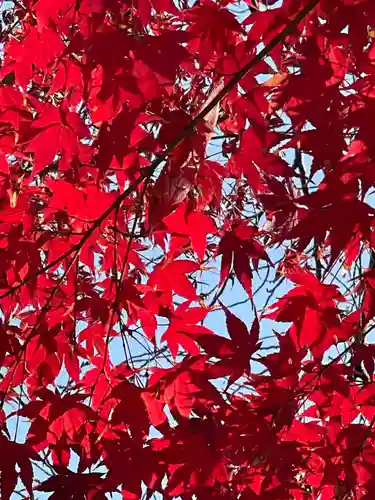 円常院(圓常院) enjoyntemple(京都府)