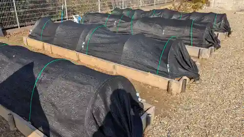 興聖寺（興聖寶林禅寺）の庭園