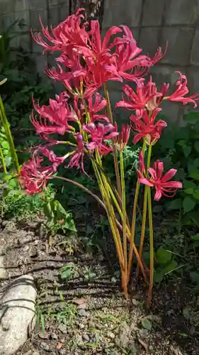 乾窓院(京都府)