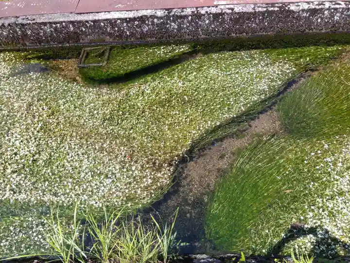 小烏神社(福井県)