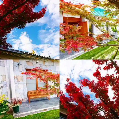 寿量山　速成寺の庭園