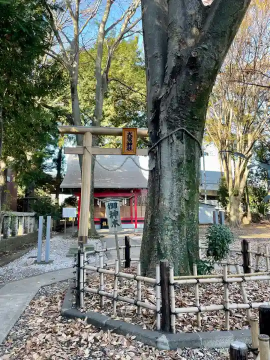 橋本大鷲神社(神奈川県)