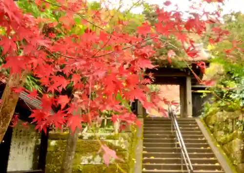 円覚寺(神奈川県)