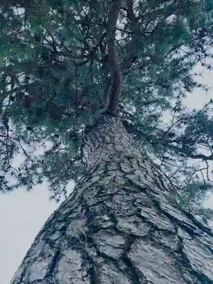 平等院(京都府)