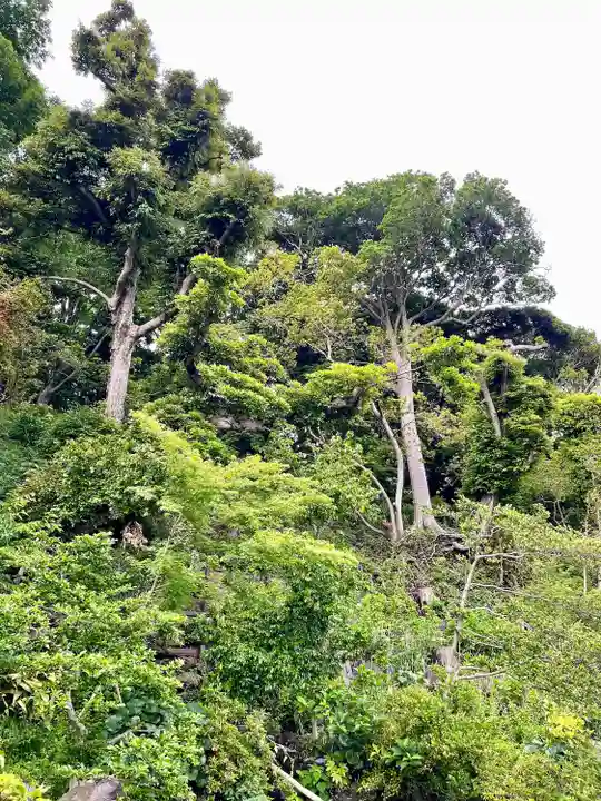 宇賀神社(神奈川県)
