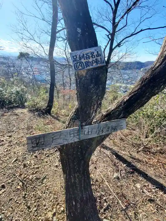 雷電神社 奥の院(助戸東山町)(栃木県)