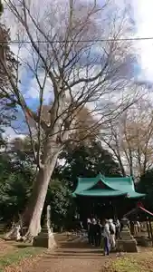酒門神社の本殿・本堂(2021年11月23日(火) 19時36分52秒投稿)