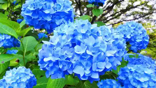 金蛇水神社(宮城県)