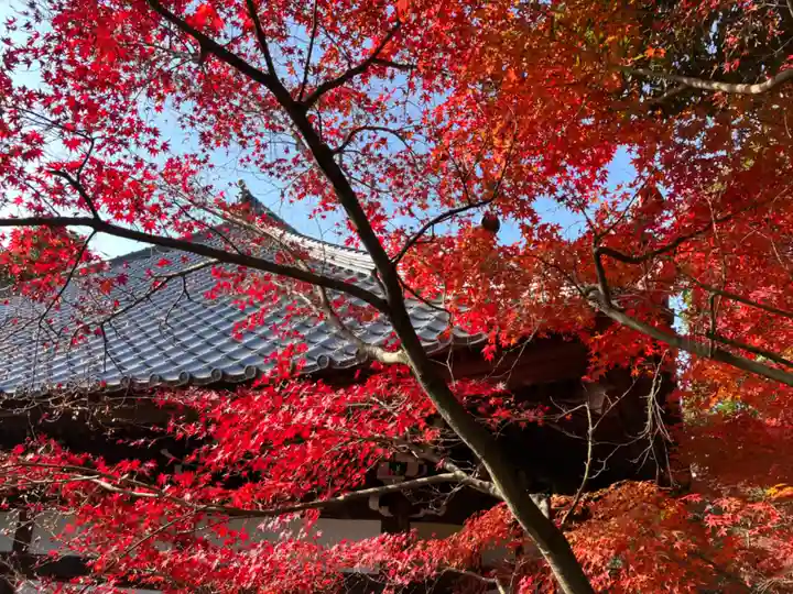 犬山寂光院の自然