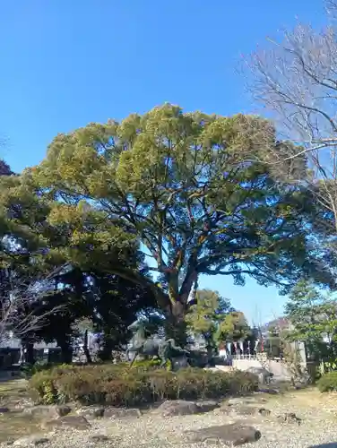 岐阜護國神社(岐阜県)