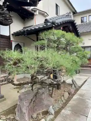 長運寺(東京都)