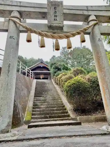 日原神社の鳥居