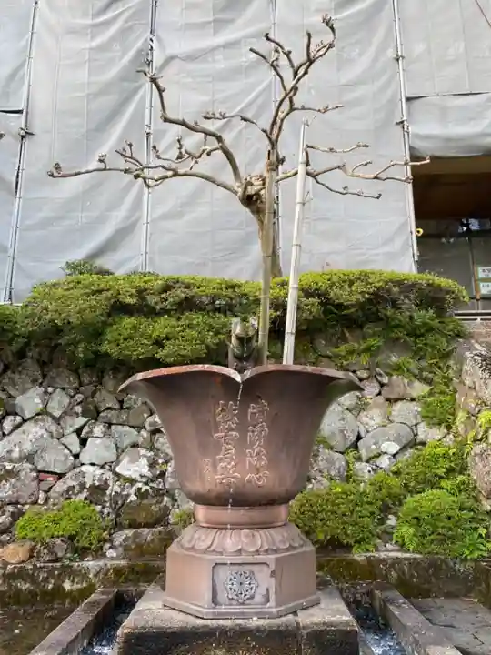 松尾寺のその他建物