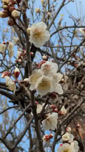 遍照寺(滋賀県)