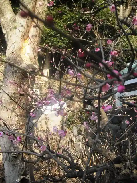 鎌倉宮のその他建物