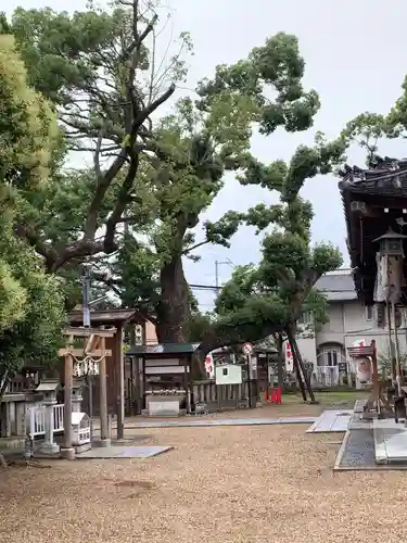 石津太神社の自然