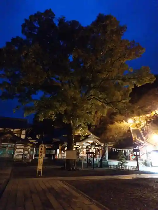 祐徳稲荷神社(佐賀県)