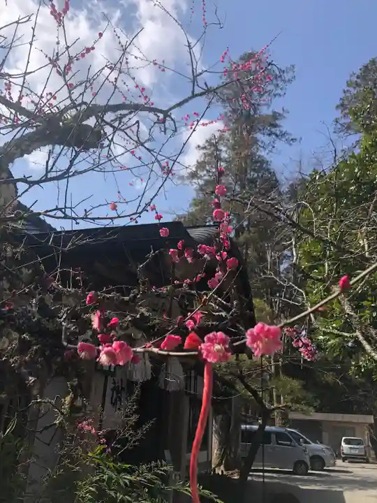 熊野本宮大社の自然