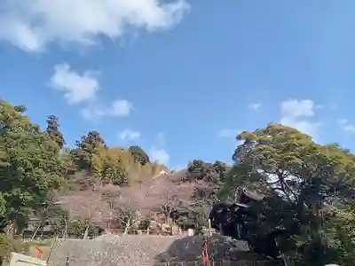宝厳寺(滋賀県)